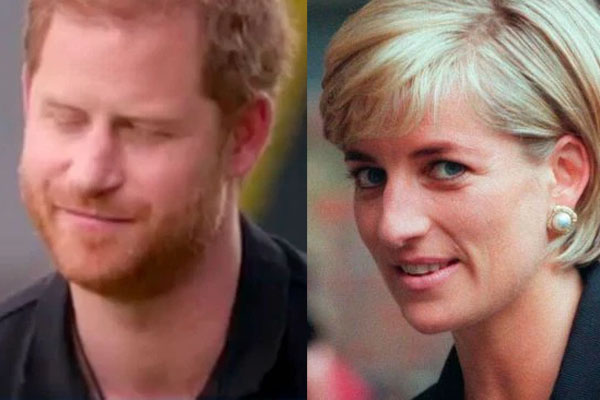 Hoàng tử William tổn thương sâu sắc bởi một câu nói của Harry và khẩn cầu em trai: Hãy để mẹ được yên nghỉ!-3