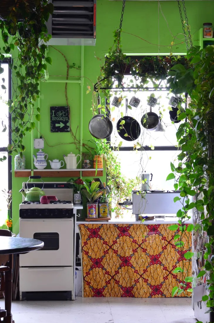 5 lưu ý khi trồng cây cảnh ở phòng bếp, điều thứ 5 khá thú vị để thử-5