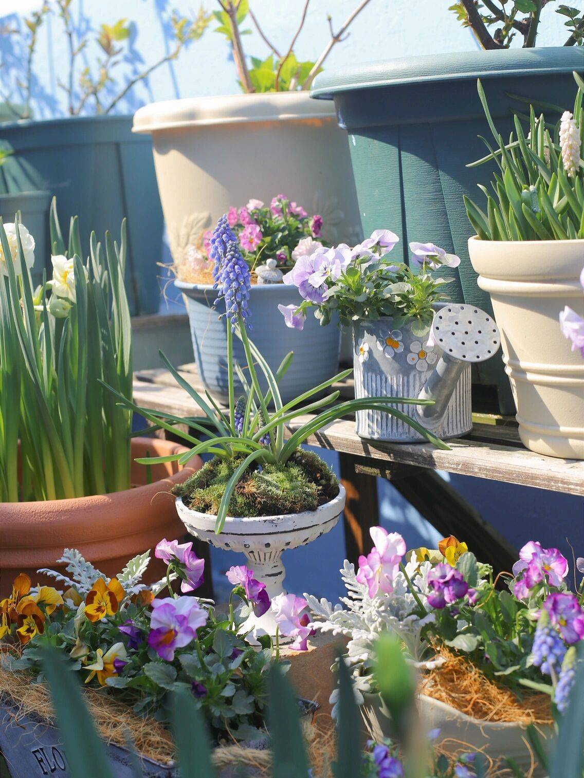 Trồng cây để giảm căng thẳng, cô nàng công sở thu được kết quả mĩ mãn sau 1 năm kiên trì khiến ai nhìn cũng mê-4