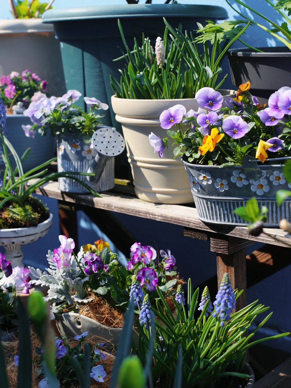 Trồng cây để giảm căng thẳng, cô nàng công sở thu được kết quả mĩ mãn sau 1 năm kiên trì khiến ai nhìn cũng mê-18