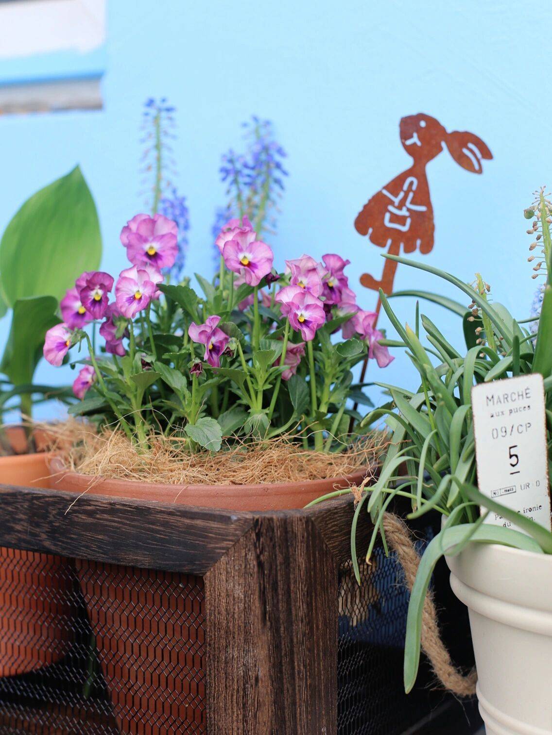 Trồng cây để giảm căng thẳng, cô nàng công sở thu được kết quả mĩ mãn sau 1 năm kiên trì khiến ai nhìn cũng mê-7