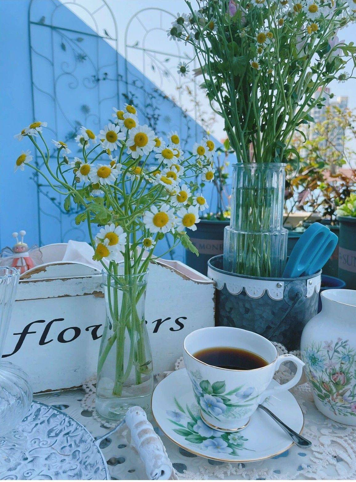 Trồng cây để giảm căng thẳng, cô nàng công sở thu được kết quả mĩ mãn sau 1 năm kiên trì khiến ai nhìn cũng mê-21