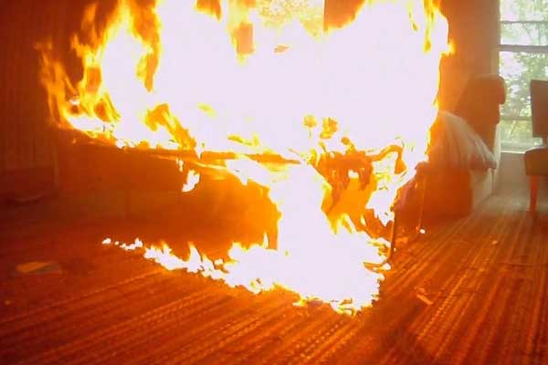 Vợ thuê sát thủ giết chồng vì ăn chơi sa đọa-3