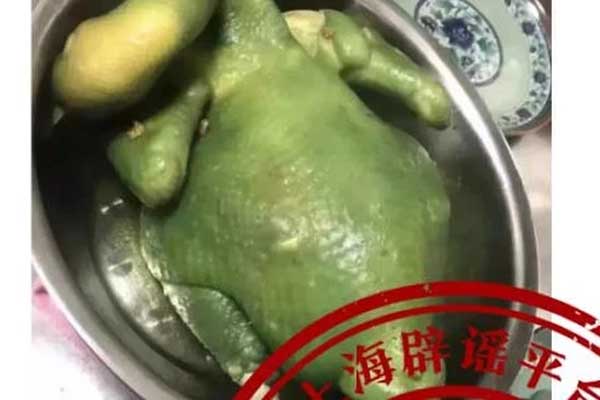 Mạng xã hội Trung Quốc náo loạn vì con vịt xanh kỳ lạ-1