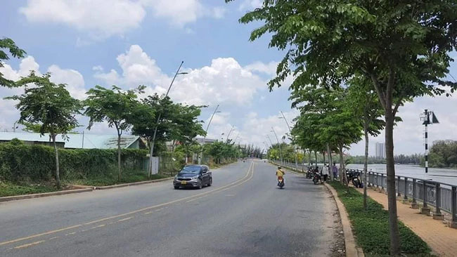 TP.HCM: Nữ MC bị đâm vào bụng, cướp xe máy khi dừng xe ven đường để nghe điện thoại-1