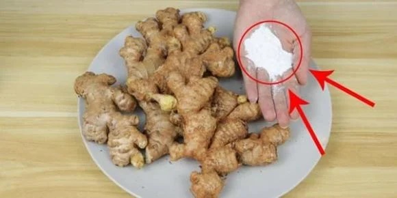 Bảo quản gừng bằng tủ lạnh là sai: Thả thứ này vào gừng, để cả năm vẫn không bị hỏng-2