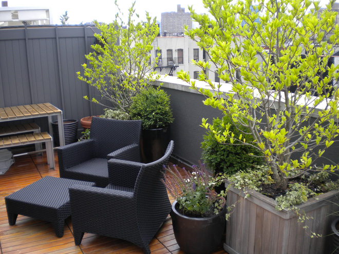 Những thiết kế vườn trên sân thượng vừa đẹp, vừa dễ làm, rất phù hợp với nhà phố-4