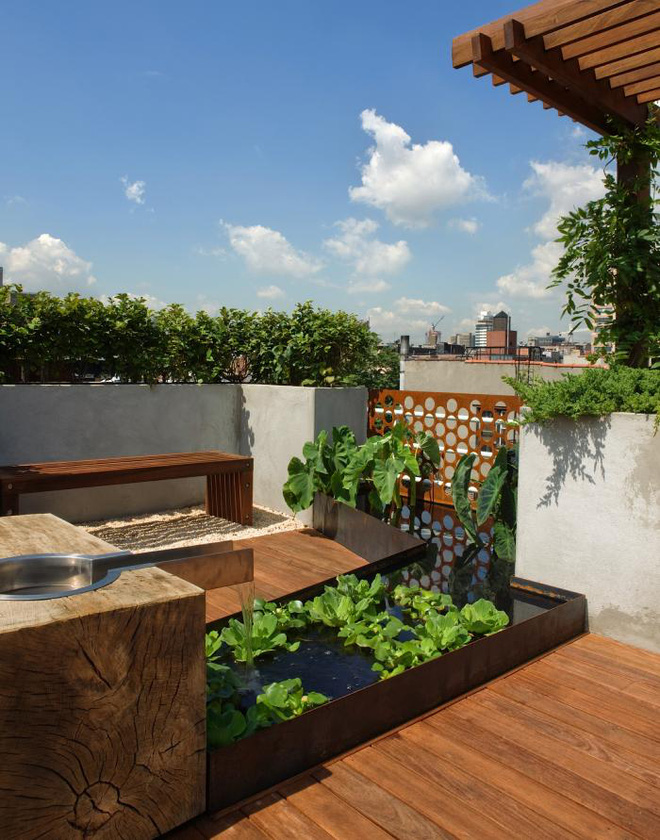 Những thiết kế vườn trên sân thượng vừa đẹp, vừa dễ làm, rất phù hợp với nhà phố-9