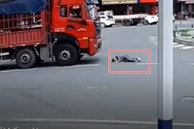 Video: Cảnh sát tóm gọn người đàn ông nằm ăn vạ trước đầu xe tải