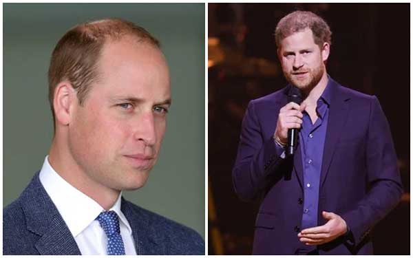 Hoàng tử William tổn thương sâu sắc bởi một câu nói của Harry và khẩn cầu em trai: Hãy để mẹ được yên nghỉ!-1