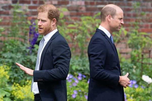 Hoàng tử William tổn thương sâu sắc bởi một câu nói của Harry và khẩn cầu em trai: Hãy để mẹ được yên nghỉ!-2