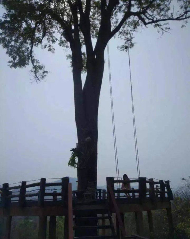 Nỗi bất hạnh tột cùng mang tên bạn trai không biết chụp ảnh”: Cô gái có chùm ảnh du lịch thảm hoạ kinh hoàng-5