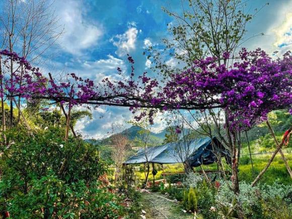 Khu vườn đẹp như tiên cảnh do Lý Quí Khánh tự tay gây dựng, chăm sóc ở Đà Lạt-11