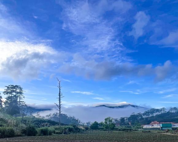 Khu vườn đẹp như tiên cảnh do Lý Quí Khánh tự tay gây dựng, chăm sóc ở Đà Lạt-2