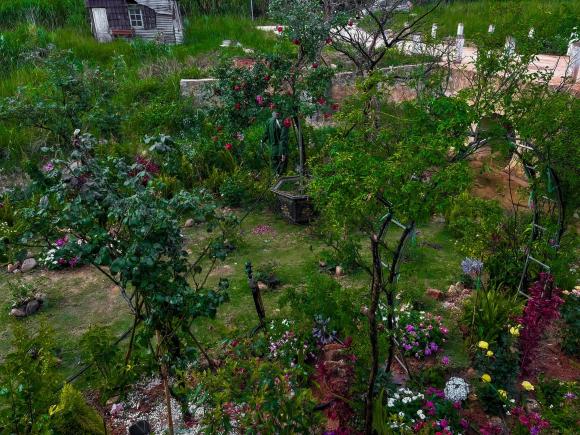 Khu vườn đẹp như tiên cảnh do Lý Quí Khánh tự tay gây dựng, chăm sóc ở Đà Lạt-4