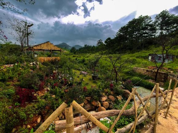 Khu vườn đẹp như tiên cảnh do Lý Quí Khánh tự tay gây dựng, chăm sóc ở Đà Lạt-5