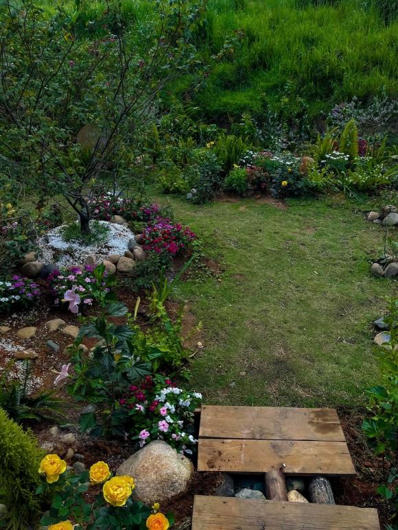 Khu vườn đẹp như tiên cảnh do Lý Quí Khánh tự tay gây dựng, chăm sóc ở Đà Lạt-8