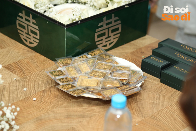 Sính lễ 88 cây vàng và 2 tỷ kim cương, đám cưới tốn cả con Mẹc: Vợ chồng Phương Trinh Jolie giàu cỡ nào?-11