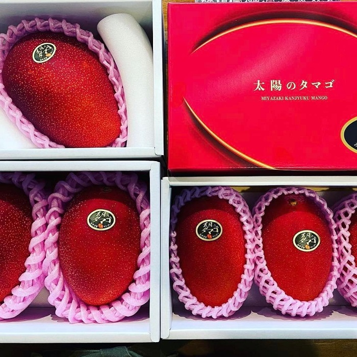 Hơn 2 triệu đồng/quả xoài màu đỏ, nhà giàu Việt chi tiền ăn sang”-8