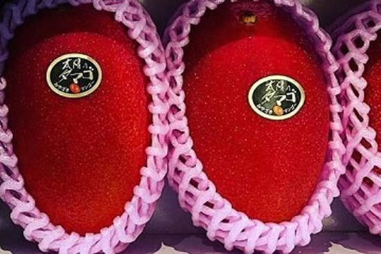 Hơn 2 triệu đồng/quả xoài màu đỏ, nhà giàu Việt chi tiền “ăn sang”