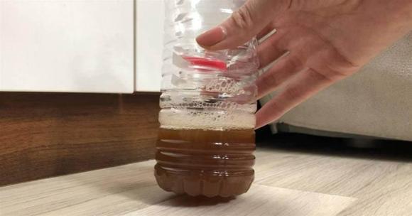 Thật ngốc khi vẫn đốt hương muỗi? Hướng dẫn bạn một phương pháp đuổi muỗi, sẽ không còn con nào dám vào nhà, hiệu quả rất tốt-2