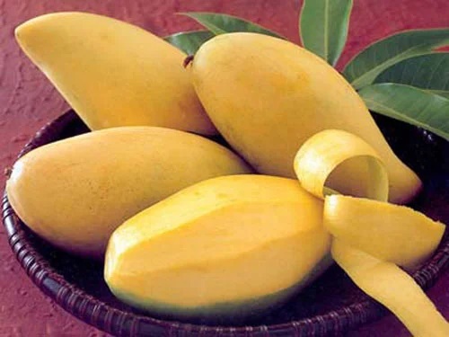 Chọn xoài cứ nhìn vào điểm này 10 quả như 1, chín tự nhiên thơm ngon, ngọt lịm, không sợ thuốc-1