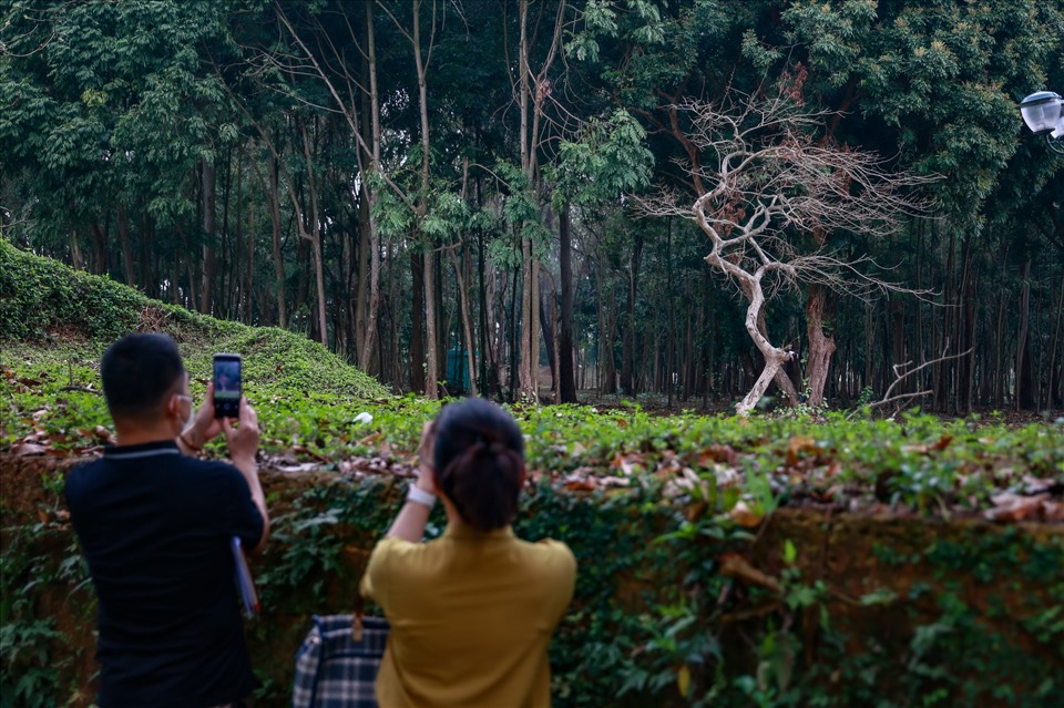 Hình ảnh phố đi bộ thứ 4 của Hà Nội trước ngày hoạt động-13