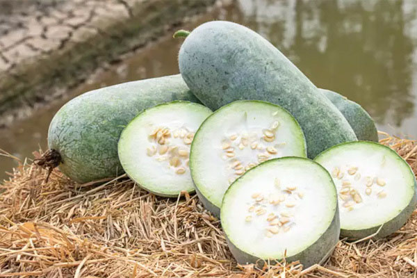 Bí xanh ngon, bổ nhưng một số người cần hạn chế ăn-2