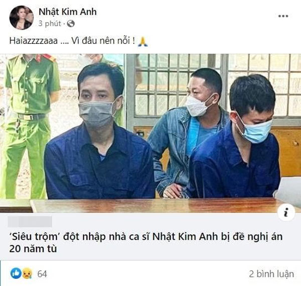Kẻ trộm lấy gần 5 tỷ bị đề nghị án 20 năm tù, Nhật Kim Anh phản ứng đáng nể-4