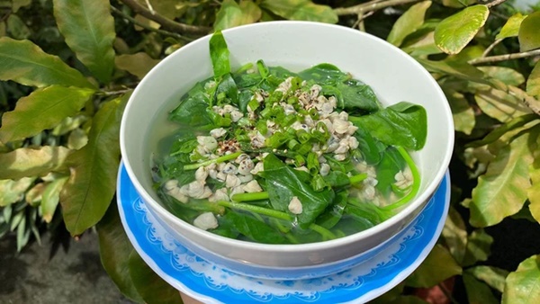 Người Việt ăn canh rau mồng tơi vào mùa hè cần nhớ: 3 điều cấm kỵ, 5 đối tượng không nên ăn, ai biết rồi cần tránh kẻo mang hại sức khỏe-2