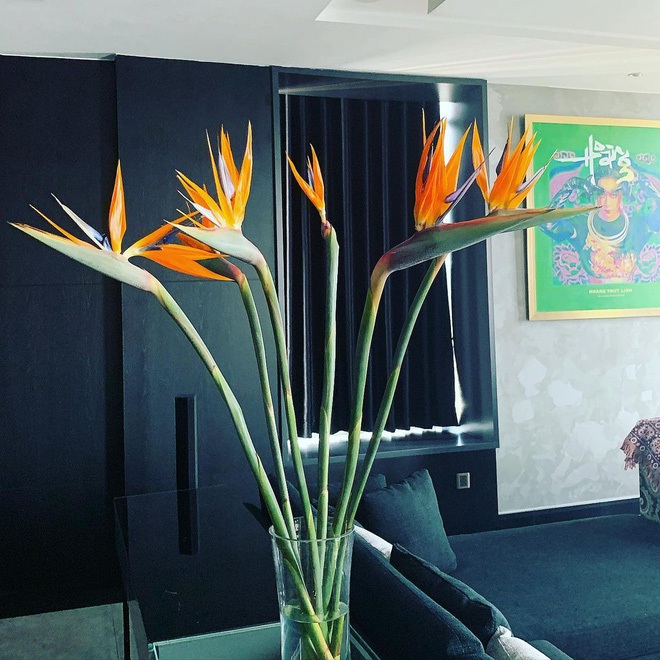 Ngắm cơ ngơi chục tỷ của gia đình văn hóa quyền lực showbiz Việt: Không ở penthouse đắt đỏ thì cũng là biệt thự sang chảnh, đẹp mê-15