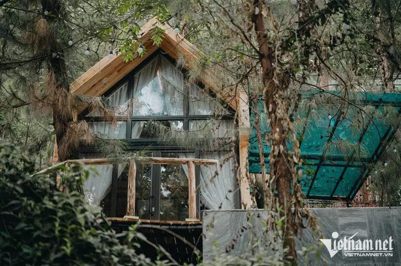 Homestay ven đô cháy phòng, dân thuê đồ cắm trại giữa trời-1