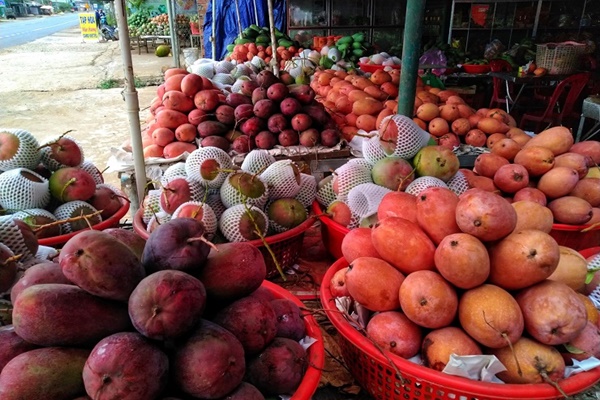 Xoài đỏ ngập chợ có giá rẻ chưa từng thấy, chỉ từ 10 nghìn đồng/kg-1