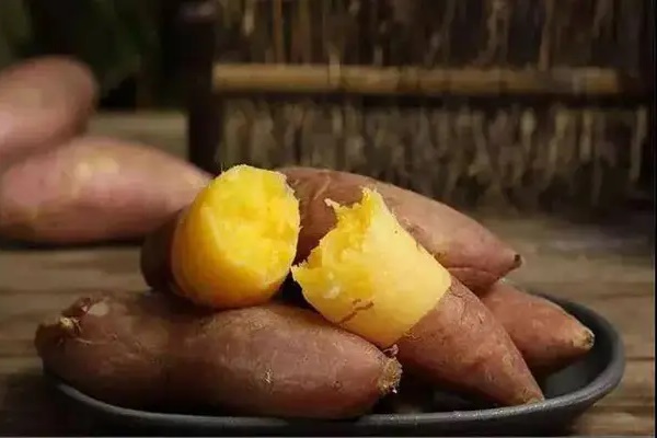 Loại củ được mệnh danh là củ trường thọ, giúp ổn định đường huyết, chống ung thư: Ở Việt Nam có nhiều, nhưng 2 nhóm người không nên dùng-3