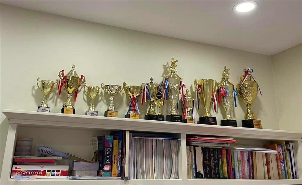 Thành tích học tập xuất sắc của nữ sinh trẻ nhất Việt Nam dự SEA Games 31-3