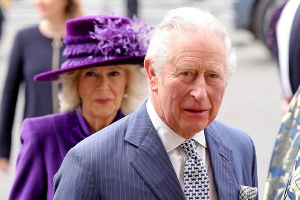 Bạn thân Công nương Diana tiết lộ sở thích kỳ quái không thể hiểu nổi của Thái tử Charles-2