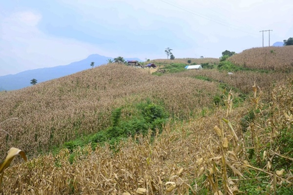 Thi thể người phụ nữ cháy đen trên lán nương và hành trình vạch mặt kẻ sát nhân cuồng dâm-1