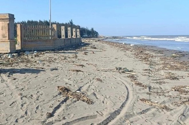 Thái Bình: Thi thể người đàn ông không đầu trôi dạt ở bãi biển Cồn Vành-1