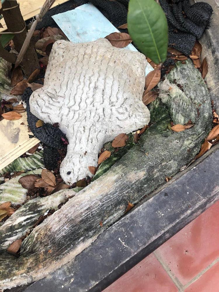 Bố chồng mê đắp tượng, nàng dâu khoe thành phẩm khiến cả nhà phải xem, hàng xóm phải xem-8