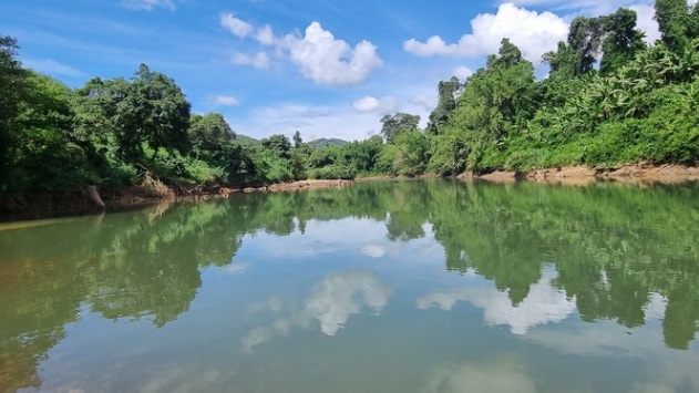 4 học sinh lớp 11 ở Bình Phước cùng tử vong-2