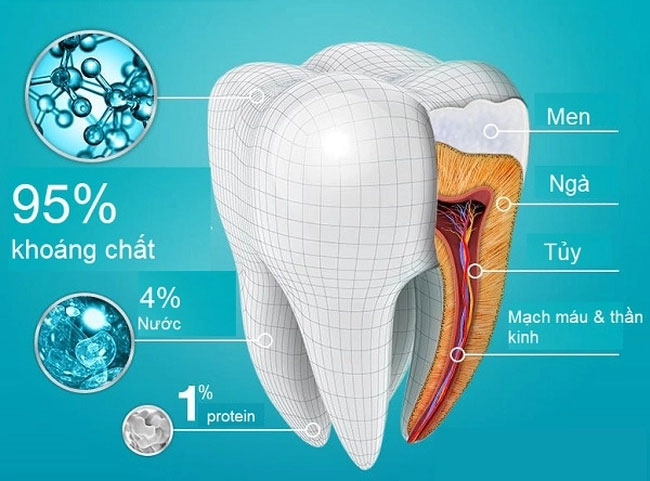 Câu đố tiếng Việt: Cái gì CỨNG nhất trên cơ thể con người? - Trả lời XƯƠNG là sai bét nhè, IQ cao sẽ đoán ngay ra thứ khác-1