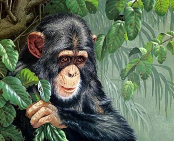 Top 3 con giáp đại gia ngầm, giàu nứt đố đổ vách, tiền tiêu rủng rỉnh nhưng nhìn bề ngoài tưởng nghèo, không để ai biết-2