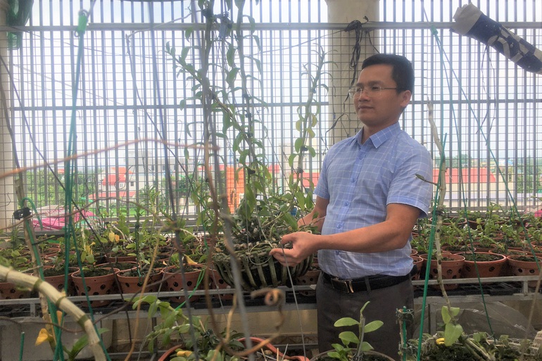 Sau cơn sốt lan đột biến, người mất tiền tỷ, kẻ... mất hút-4