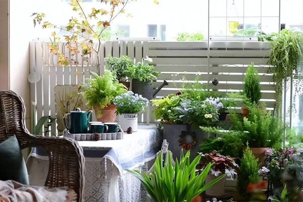 Quý bà dành 3 năm trồng cây cảnh, biến sân thượng bỏ hoang thành khu vườn thơm ngào ngạt-13