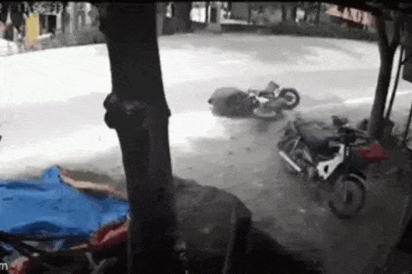 Hoảng sợ xem lễ hội thả bò ở Ấn Độ: Chấp nhận bị húc lên không, giày xéo miễn sờ được lưng con vật-1