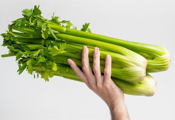 5 thực phẩm ăn nhiều vào mùa hè sẽ đốt cháy chất béo, điều hòa khí huyết, loại bỏ độc tố, chị em còn có làn da đẹp nhờ giàu collagen-4