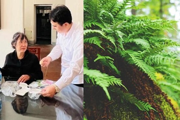 Cận cảnh nơi nữ du khách U60 rơi xuống suốt 7 ngày ở Yên Tử: Vực sâu hàng trăm mét, vách núi dựng đứng-9