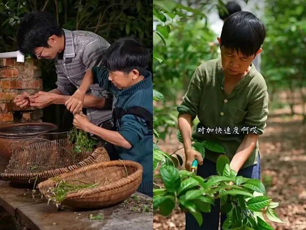 Sau 280 ngày ngừng hoạt động, Lý Tử Thất bị vượt mặt bởi 100 kênh tài khoản nội dung điền viên, dần lu mờ trong lòng fan hâm mộ-8