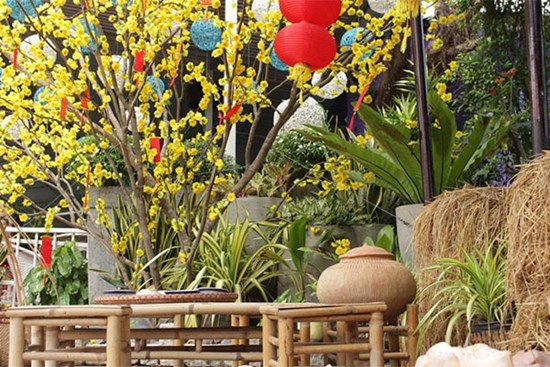 Ông bà có 16 phòng trọ nhưng cháu nội vẫn phải ở nhà thuê 10m2