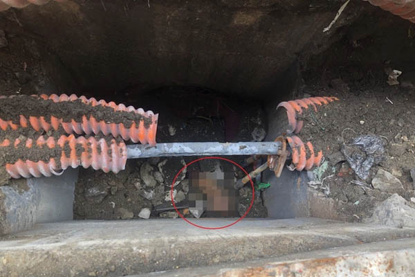 Lời khai của nghi phạm giết chồng, giấu xác dưới ao hơn 4 tháng ở Cà Mau-3